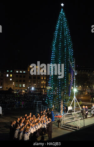 London, UK. 1st Dec, 2016. The 70th Norwegian spruce Christmas tree gifted by the city of Oslo to London as a Christmas tree is lit in Trafalgar Square. Credit:  Mark Kerrison/Alamy Live News Stock Photo