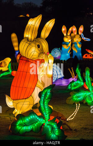 Longleat, Warminster, Wiltshire, UK. 1 December 2016. Christmas Festival of Light at Longleat to celebrate the Safari Park's 50th anniversary with the theme of Beatrix Potter. Crowds flock to see the lights on a bitter cold evening. bunny rabbits in the garden Credit:  Carolyn Jenkins/Alamy Live News Stock Photo