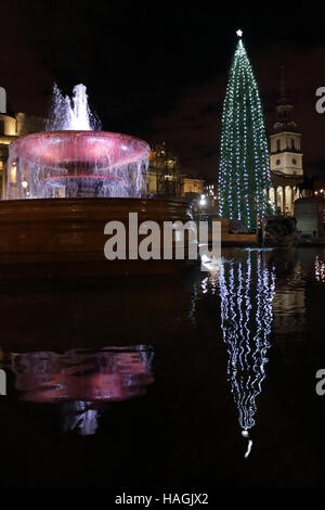 Trafalgar Square London UK. 1st December 2016. The lights on the traditional Norwegian spruce Christmas tree were turned on tonight.