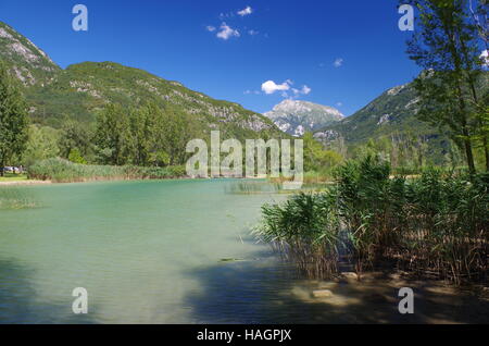 View of a water pond near the lake of Cavazzo in Friuli Venezia Giulia, Italy Stock Photo