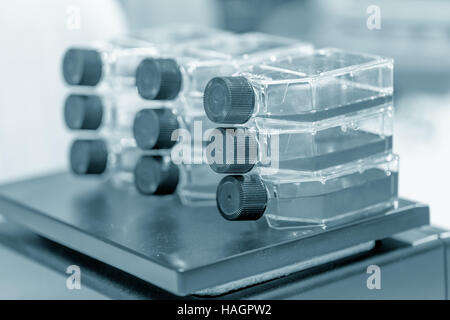 Culture Flasks in microbiological laboratory Stock Photo