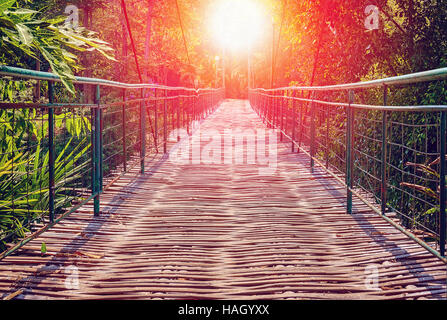 Hanging Bridge in the jungle Stock Photo