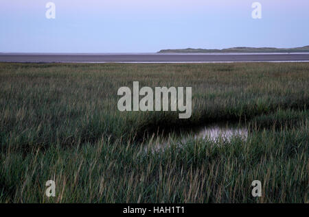 View over Goswick Sands to Snook Point on Holy Island, Northumberland, England, UK Stock Photo