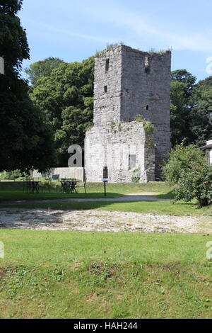 ISLE OF MAN, UK, AUGUST 16, 2016: The ruins of the Church Tower at Rushen Abbey, Ballasalla, Isle of Man. Manx National Heritage Stock Photo