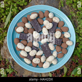 Close-up high angle flat view of blue plastic plate of miscellaneous uncovered candies on stone among goldmoss stonecrop. Stock Photo