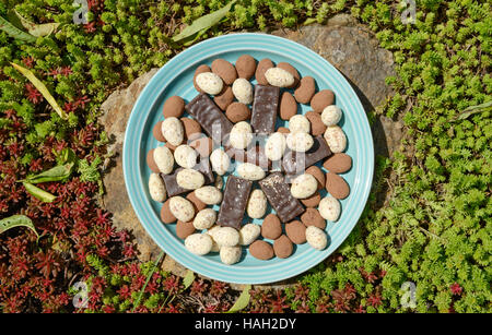 Close-up high angle flat view of blue plastic plate of miscellaneous uncovered candies on stone among goldmoss stonecrop. Stock Photo