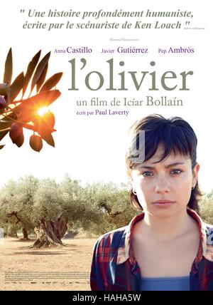 El Olivo The Olive Tree Year : 2016 Spain Director : Iciar Bollain Anna Castillo Movie poster (Fr) Stock Photo