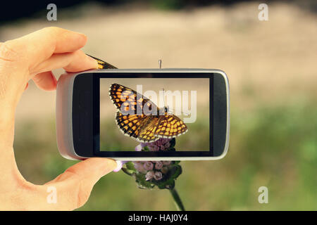 Taking picture with mobile phone Stock Photo