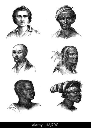 Historical illustration, 19th Century, ethnic groups of Oceania Stock ...