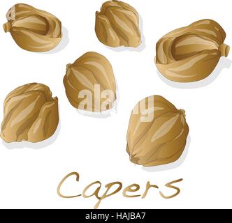Canned capers vector illustration on white background Stock Vector
