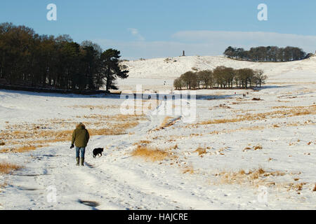 Man walking his dog in snow, Bradgate Park, Leicestershire, England, UK. Stock Photo