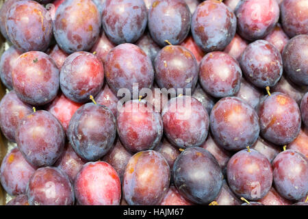 Background of fresh ripe plums arranged in neat rows Stock Photo