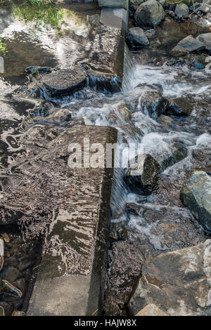 Closeup of rushing water in Des Moines Creek in Washington State. Stock Photo