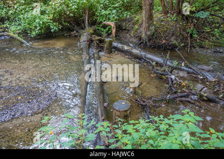 Water flows in the Des Moines Creek in Washington State. Stock Photo