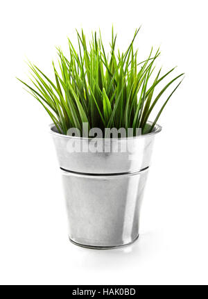 green grass in metal bucket isolated on white Stock Photo