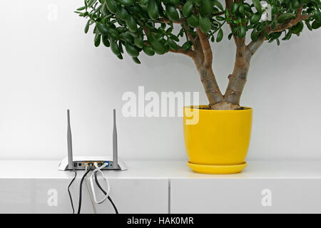 internet router and flower pot on white shelf in bright interior Stock Photo