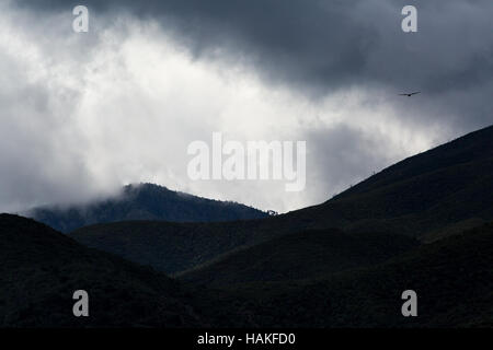 A raven flying toward stormy weather shifting over the Mazatzal Mountains. Tonto National Forest, Arizona Stock Photo