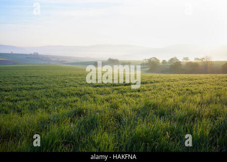 Countryside on Misty Morning at Sunrise, Monchberg, Spessart, Bavaria, Germany Stock Photo