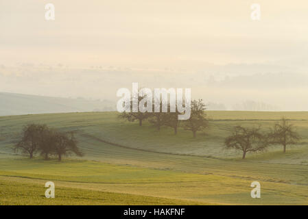 Countryside on Misty Morning, Monchberg, Spessart, Bavaria, Germany Stock Photo