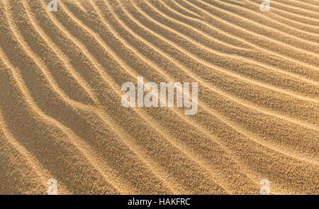 Undulating ribbed patterns in the sand, created by wind and seawater, on the beach at Scheveningen, South Holland, Netherlands. Stock Photo