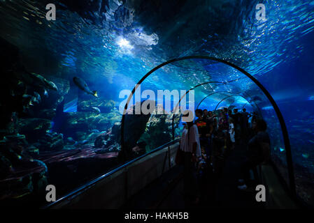 Aquarium tunnel in Barcelona Stock Photo