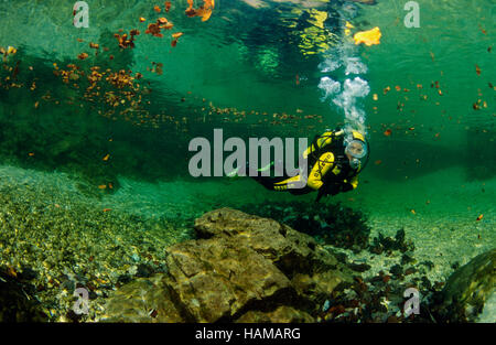 Scuba diving in the Ois River near Lunz, Lower Austria, Austria, Europe Stock Photo