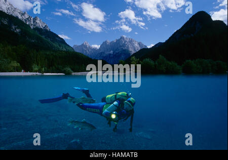 Scuba diver diving in a mountain lake, Styria, Austria, Europe Stock Photo