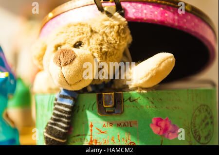 Teddy bear hiding in a cardboard box Stock Photo