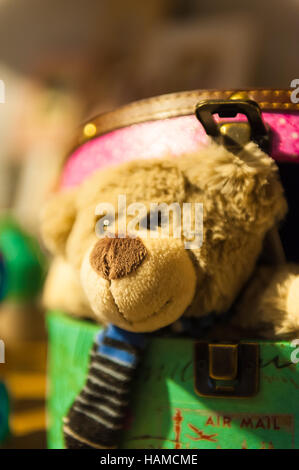 Teddy bear looks out from colorful boxes Stock Photo