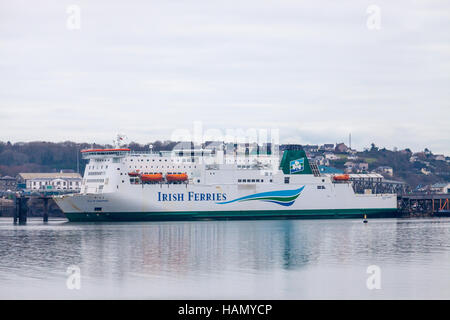 Pembroke, Wales, UK. 2nd Dec, 2016. The Irish ferry, Isle of Inishmore, reported a woman overboard this morning. A body has been found near Lawrenny on the Western Cleddau. Credit:  Derek Phillips/Alamy Live News Stock Photo