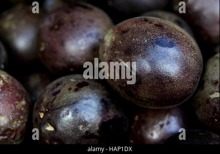 Organic Passiflora edulis or Purple passion fruit Stock Photo - Alamy