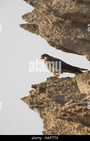 Sardinien, Sardinia, Italien, Italy, Italia Stock Photo