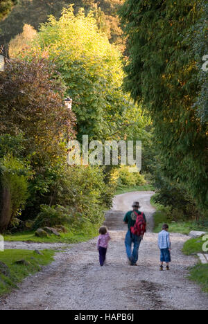 Father and children walk down a forested English country lane in autumn, Grindleford, Peak District, Derbyshire, UK Stock Photo