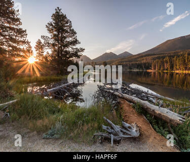 Sun bursting through the pine trees at Sprague Lake making a star burst. Rocky Mountain National Park Stock Photo