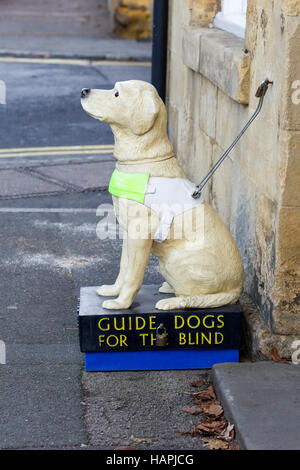 Collection Box, collection money for guide dogs for the blind Stock Photo