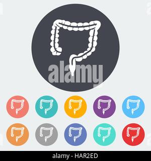 Intestines. Single flat icon on the circle. Vector illustration. Stock Vector