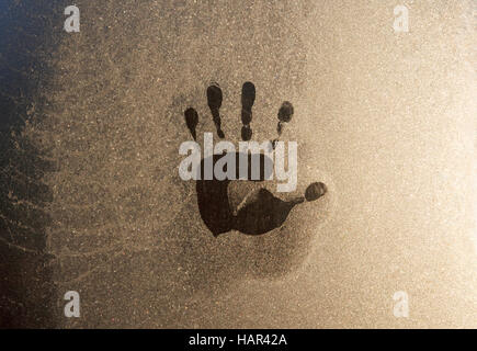 Impression of hand melted into hoar frost on greenhouse window partly overlays frozen cobweb. Stock Photo