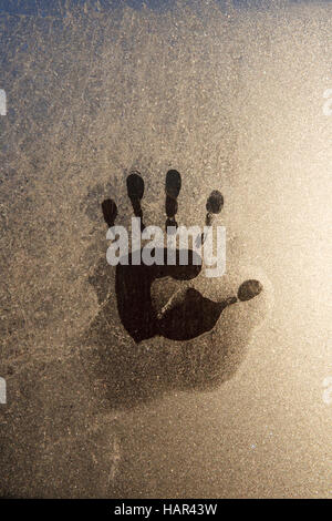 Impression of hand melted into hoar frost on greenhouse window partly overlays frozen cobweb. Stock Photo