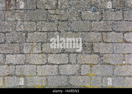 Gray brick wall Stock Photo