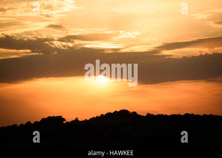 Sun setting behind silhouetted trees Stock Photo