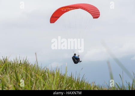 Paragliding at Bald Hill Stanwell Tops in NSW, Australia Stock Photo