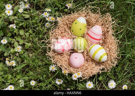 colorful easter eggs into basket on grass Stock Photo