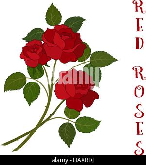 Flowers Bouquet, Red Roses Stock Vector
