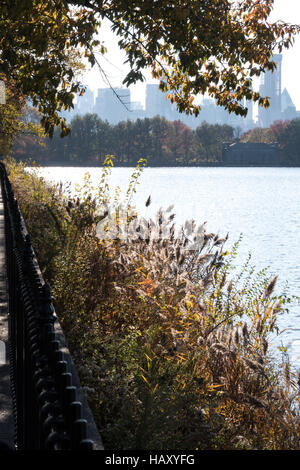 The reservoir running track in central park in the fall, NYC Stock Photo