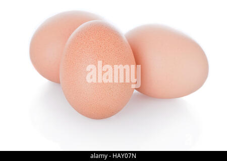 Three brown chicken eggs isolated on white background Stock Photo
