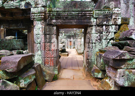 Ruins at Ta Prohm Temple, Angkor, Siem Reap, Cambodia Stock Photo