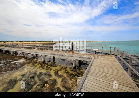A woman observing the stromatolites from the boardwalk at Hamelin Pool Marine Nature Reserve. Shark Bay, Western Australia