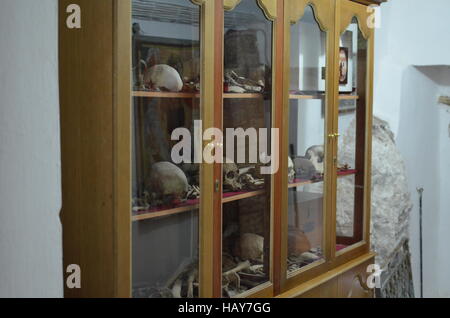human skulls in a glass case Stock Photo
