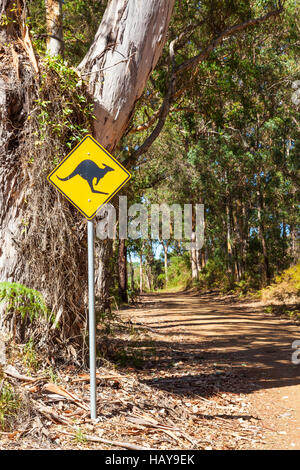 A roadside kangaroo warning sign next to a gravel road passing through indigenous forest near the town of Denmark in Western Australia. Stock Photo