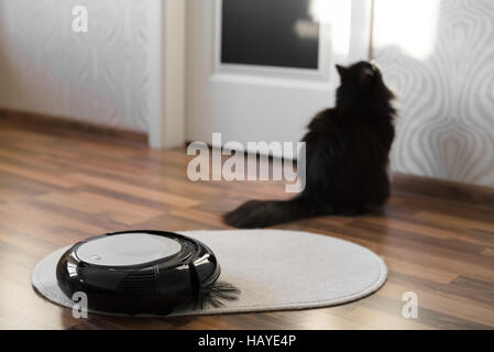 Robotic vacuum cleaner on little white carpet with black cat on background Stock Photo